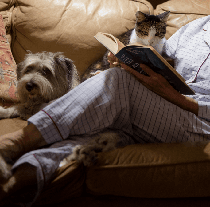 A pet sitter reads a book on an oversized chair as a cat and a dog spend an overnight stay at her place.