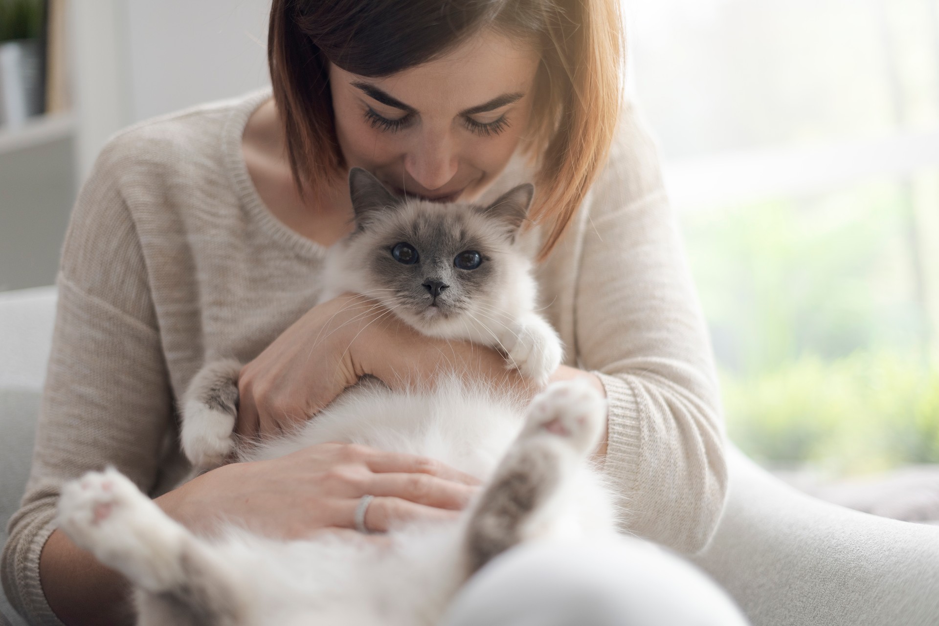 CJ pets a cat on its belly during a session of Cat Sitting in Oshkosh